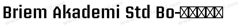 Briem Akademi Std Bo字体转换